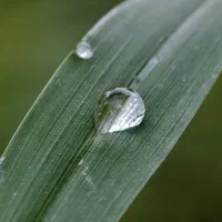 vivo x200pro گوشی دوربین محور|موبایل|چابهار, |دیوار