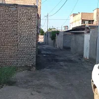 زمین شایه