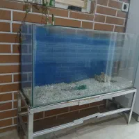 آکواریوم|ماهی|فردوسیه, |دیوار