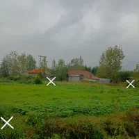 زمین-مسکونی-260متری