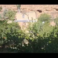 فروش ۱۰۰۰ متر باغ