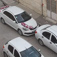 ام وی ام ۳۱۵ نیو