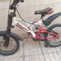 دوچرخه خیلی با کیفیت خارجی گلانت