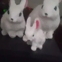 دکور خرگوش|مجسمه، تندیس، ماکت|یزد, |دیوار