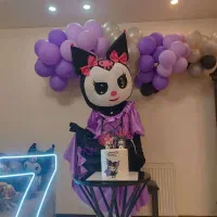 دی جی مجری تولد کودک مدارس با تن پوش عروسک سوپرایز