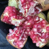 انار شیرین کلباد