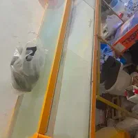 فرش ۶متر زدگی داره|فرش|بیرجند, |دیوار