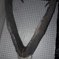 شاخ بز کوهی|کلکسیون اشیاء عتیقه|تهران, وحیدیه|دیوار