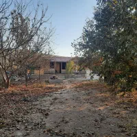 اجاره کلبه باغ