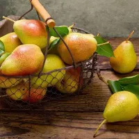 فروش نهال گلابی بارتلت