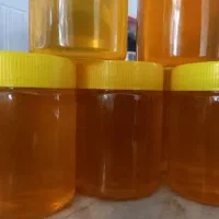 عسل کوهی درجه ۱ ارگانیک