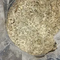 تفاله چغندر