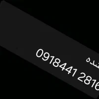 مدارک  گمشده