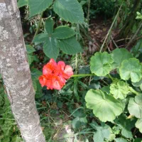 فروش خانه ویلایی ۵۰۰متری یک میلیارد صد