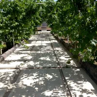 اجاره روزانه/هفتگی/ماهانه ویلا ۷۰۰ متری|اجارهٔ کوتاه‌مدت ویلا و باغ|نجف‌آباد, گلدشت|دیوار