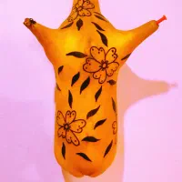 نی انبان|سازهای بادی|کرمان, |دیوار