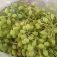 غوره رسید وترش ابدارکیلوی ۱۰۰