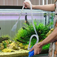 نصب و راه ندازی سرویس اکواریوم با کمترین هزینه