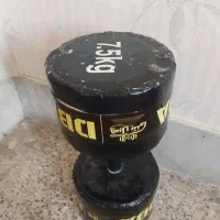 دمبل بتنی