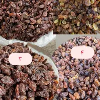 کشمش بیدانه فخری پلویی آفتابی عسگری حلوایی