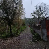 زمین مسکونی تو لفور چسبیده به جنگل هیرکانی|فروش زمین و ملک کلنگی|آلاشت, |دیوار