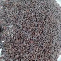 فروش کشمش|خوردنی و آشامیدنی|میاندوآب, |دیوار