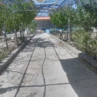 معاوضه-فوری-باغ-با-خودرو