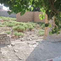 زمین ۱۰۰متری الورد|فروش زمین و ملک کلنگی|صباشهر, |دیوار