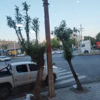 اجاره زیرزمین