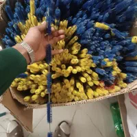 تعدادی فرچه جارو نپتون