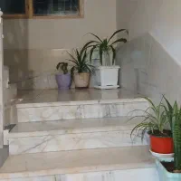 گلهای طبیعی سرحال هدیه روز مادر و زن|گل و گیاه طبیعی|شیراز, گویم|دیوار