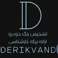 کارشناسی سیاررنگ بدنه وفنی خودرو باغ فیض|خدمات موتور و ماشین|تهران, باغ فیض|دیوار