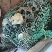 گوفه تخت کوفه