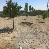 زمین باغ ویلا شهرستانک|فروش دفتر صنعتی، کشاورزی، تجاری|اراک, |دیوار