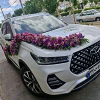 انواع ماشین عروس پدیده گل عروس