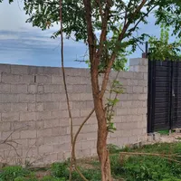 خانه با تمام امتیازات بر آسفالت سند تک برگ|فروش زمین و ملک کلنگی|طاهرگوراب, |دیوار