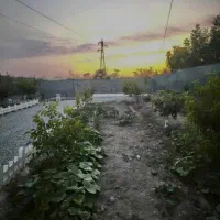 باغچه پانصد متری/دارای آب/سرمایه‌گذاری مطمین|فروش زمین و ملک کلنگی|هشتگرد, شهرک پامچال|دیوار