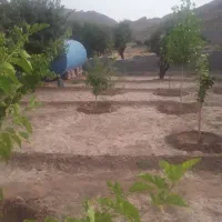 300-متر-باغ-معاوضه-با-ماشین