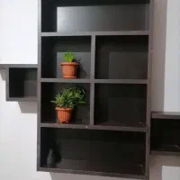 یک دوعدد ویترینی وشلف