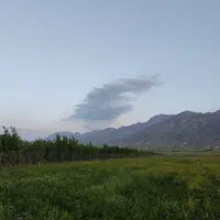 فروش ۷۵۰ پرس یونجه