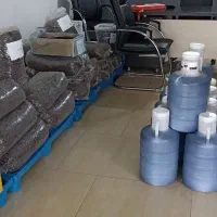 پخش کشمش آفتابی وشیره خرما