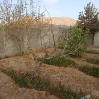 زمین-چهار-دیواری-مساحت-200-متر