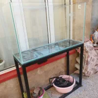 فروش اکواریم بزرگ|ماهی|تبریز, |دیوار