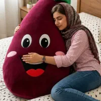 پخش عمده/بالش‌ بالشت/آغوشی عروسکی/تمام سنین