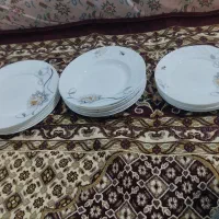 ظروف آرکوپال فرانسوی پنج ستاره|ظروف سرو و پذیرایی|بیرجند, |دیوار