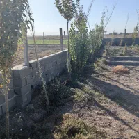 زمین پیشوا ورامین