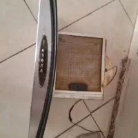 هود