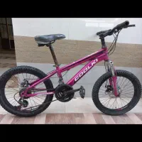 دوچرخه بیست|دوچرخه، اسکیت، اسکوتر|میناب, |دیوار