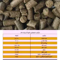 خوراک دام اقتصادی با بازدهی بالا
