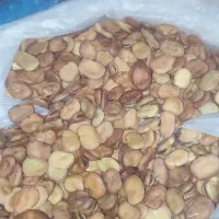 شوش|عمدهفروشی|شوش, |دیوار